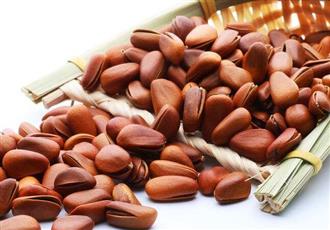 松仁能和大麦一起吃吗_松仁和大麦可以一起吃吗/同吃