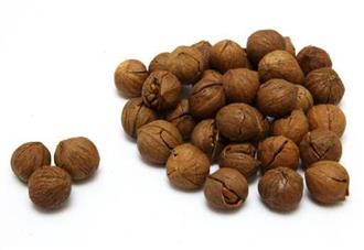 山核桃能和鳝鱼一起吃吗_山核桃和鳝鱼可以一起吃吗/同吃