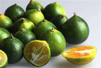 酸柑能和鸡蛋一起吃吗/同吃_酸柑和鸡蛋相克吗