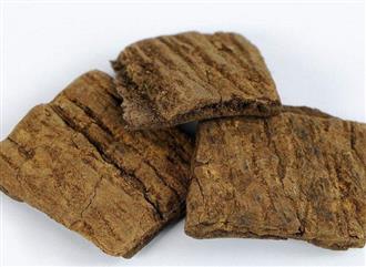 杜仲能和猪腰一起吃吗_杜仲和猪腰可以一起吃吗/同吃