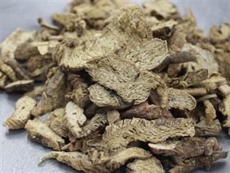 沙参能和象鱼一起吃吗/同吃_沙参和象鱼相克吗