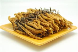 冬虫夏草的吃法