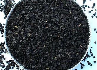 韭菜子能和牛肉一起吃吗/同吃_韭菜子和牛肉相克吗 韭菜子能和牛肉一起吃吗/同吃_韭菜子和牛肉相克吗