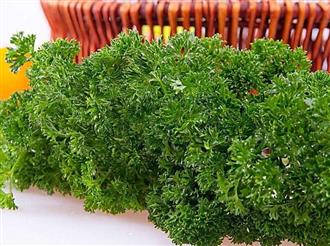 欧芹能和北极虾 一起吃吗_欧芹和北极虾 可以一起吃吗/同吃