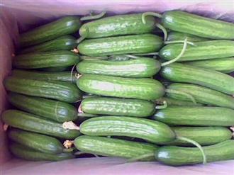 乳瓜能和金樱子一起吃吗/同吃_乳瓜和金樱子相克吗