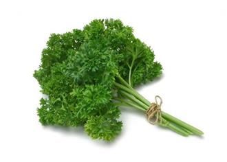 荷兰芹能和牡蛎一起吃吗/同吃_荷兰芹和牡蛎相克吗 荷兰芹能和牡蛎一起吃吗/同吃_荷兰芹和牡蛎相克吗