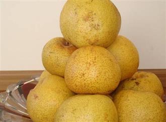 秋子梨能和梭子蟹一起吃吗/同吃_秋子梨和梭子蟹相克吗 秋子梨能和梭子蟹一起吃吗/同吃_秋子梨和梭子蟹相克吗