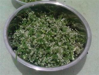腌韭菜花能和菠菜一起吃吗/同吃_腌韭菜花和菠菜相克吗