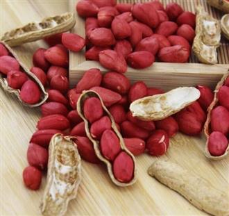 红皮花生能和豆浆一起吃吗_红皮花生和豆浆可以一起吃吗/同吃