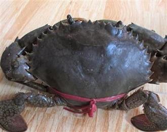 膏蟹能和鸭梨一起吃吗/同吃_膏蟹和鸭梨相克吗 膏蟹能和鸭梨一起吃吗/同吃_膏蟹和鸭梨相克吗