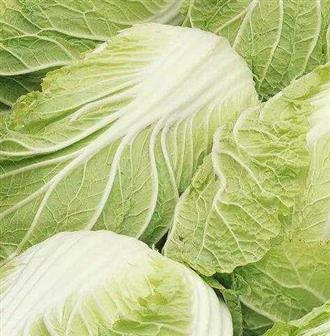 白菜能和鸭腿一起吃吗_白菜和鸭腿可以一起吃吗/同吃