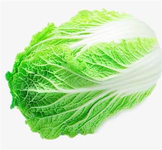 大白菜能和奶酪一起吃吗_大白菜和奶酪可以一起吃吗/同吃