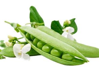 豌豆粒能和蘑菇一起吃吗_豌豆粒和蘑菇可以一起吃吗/同吃
