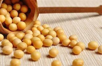 大豆能和核桃一起吃吗/同吃_大豆和核桃相克吗