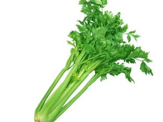 芹菜能和鸭肉一起吃吗_芹菜和鸭肉可以一起吃吗/同吃