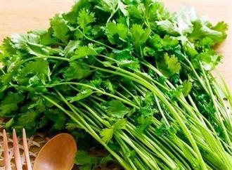 香菜能和猪肝一起吃吗/同吃_香菜和猪肝相克吗