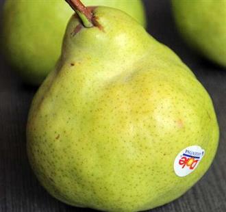 大头梨能和鹅肉一起吃吗/同吃_大头梨和鹅肉相克吗 大头梨能和鹅肉一起吃吗/同吃_大头梨和鹅肉相克吗