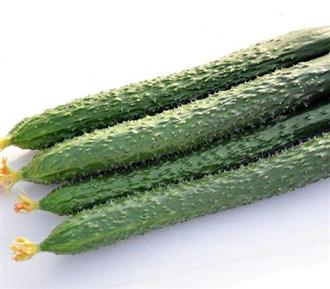 黄瓜能和包菜一起吃吗/同吃_黄瓜和包菜相克吗