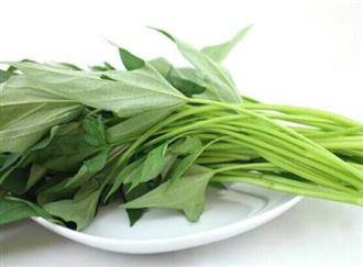 红薯叶能和鸡蛋一起吃吗/同吃_红薯叶和鸡蛋相克吗