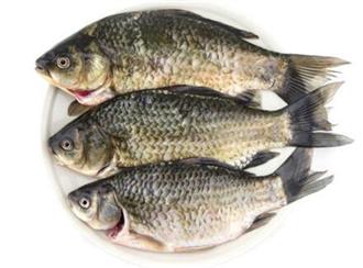 鲫鱼能和冬瓜一起吃吗/同吃_鲫鱼和冬瓜相克吗