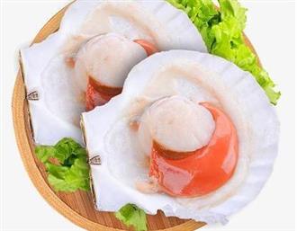 扇贝能和腊肠一起吃吗/同吃_扇贝和腊肠相克吗