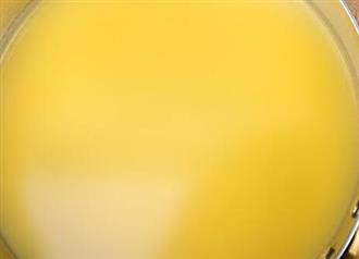 白黄油酱