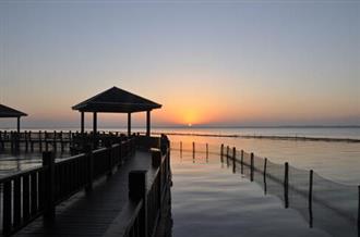 中秋礼物送什么有新意又有心意？
