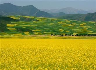 康恩贝前列康三十年品质始终如一 专注男性健康品牌已深入人心