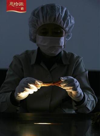 315揭糖红参黑幕 不灌糖的红参也未必是好红参