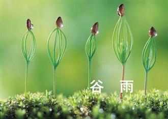 荷兰乳牛极膳营养奶粉提醒：谷雨养生，保一整年健康