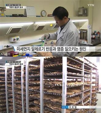 雾霾“肆虐”韩国，红参挺身而出