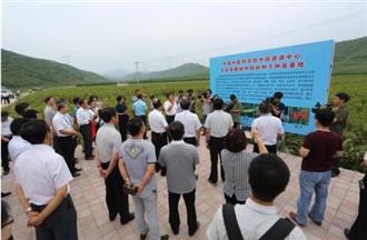 做地道人,种道地药——山里人孙士河的中药材产业回归路 做地道人,种道地药——山里人孙士河的中药材产业回归路