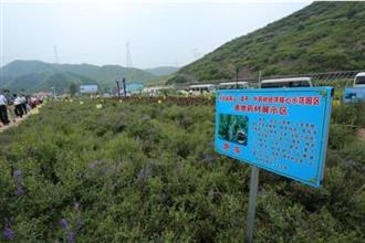 做地道人,种道地药——山里人孙士河的中药材产业回归路 做地道人,种道地药——山里人孙士河的中药材产业回归路