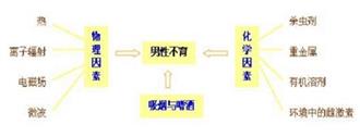 男性不孕不育探究及建议
