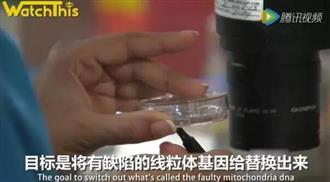 加藤医院纽约分院创全球首例“俩妈一爸”奇迹