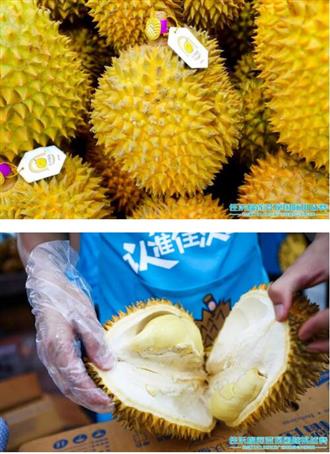 全广州都闻到榴莲味了，佳沃榴莲登上了广州的「顶」