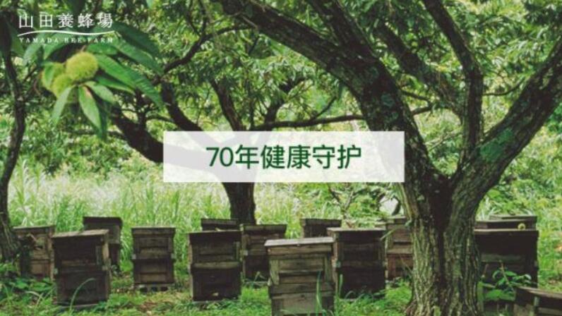 山田养蜂场：让蜂胶守护你的健康