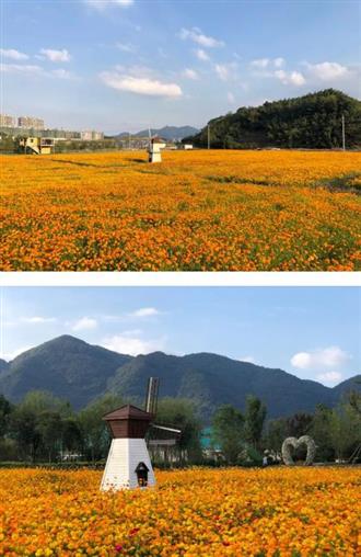 宁波大爱书院小镇丨大爱小厨：将乐享融入生活日常，凝聚爱的共识