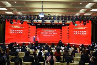 九芝堂荣登中国中药品牌建设大会两大榜单