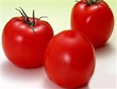 番茄椰菜花同吃防前列腺癌