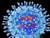 预防h7n9禽流感样预防禽流感