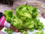 芥菜头能和醋一起吃吗/同吃_芥菜头和醋相克吗