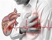 日科学家指出血液含铁过高易患心血管病