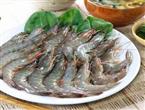 冰鲜虾能和茶叶一起吃吗/同吃_冰鲜虾和茶叶相克吗