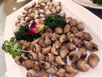 黄螺能和猪肉一起吃吗/同吃_黄螺和猪肉相克吗