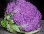 紫菜花能和猪里脊肉一起吃吗_紫菜花和猪里脊肉可以一起吃吗/同吃