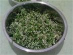腌韭菜花能和菠菜一起吃吗/同吃_腌韭菜花和菠菜相克吗