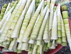 笋能和鸡肉一起吃吗_笋和鸡肉可以一起吃吗/同吃