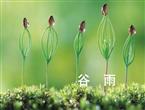 荷兰乳牛极膳营养奶粉提醒：谷雨养生，保一整年健康