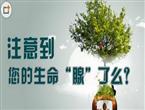 中药治愈前列腺疾病 前列舒乐颗粒强大疗效受代理青睐
